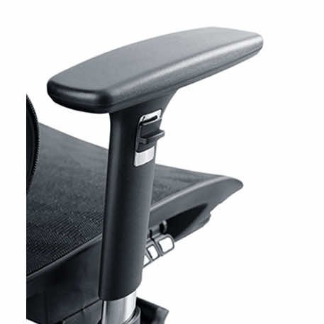 ghế công thái học B101af