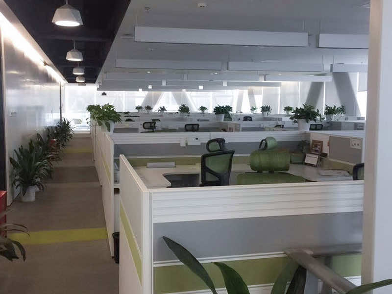 Bchair cung cấp ghế công thái học - ảnh 03