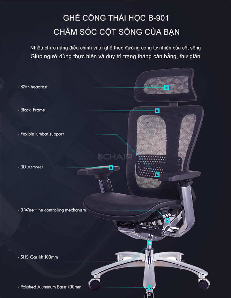 ghe cong thai hoc b901