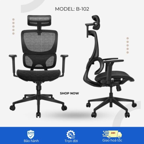 Ghế công thái học B-102