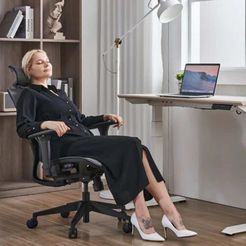 Ghế công thái học B-102 5 b 102 2