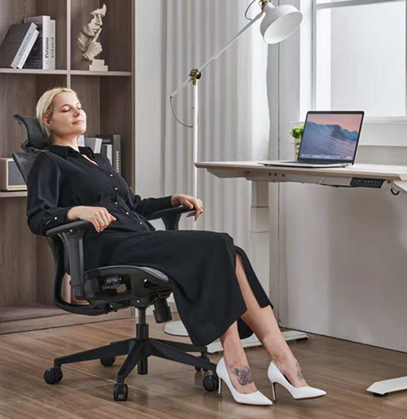 Ghế công thái học B-102 2 Ghế công thái học B-102 - Ảnh 3