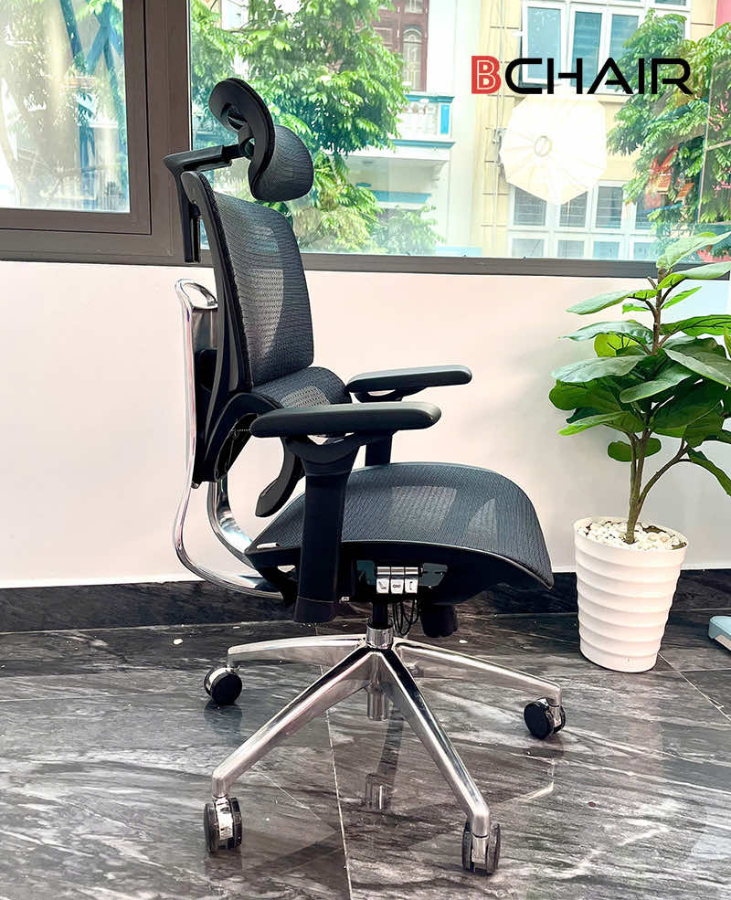 Ghế công thái học B-018plus