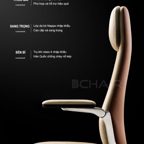 Ghe da giam doc B 007AF 35L anh 03