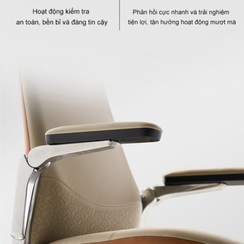 Ghe da giam doc B 007AF 35L anh 11