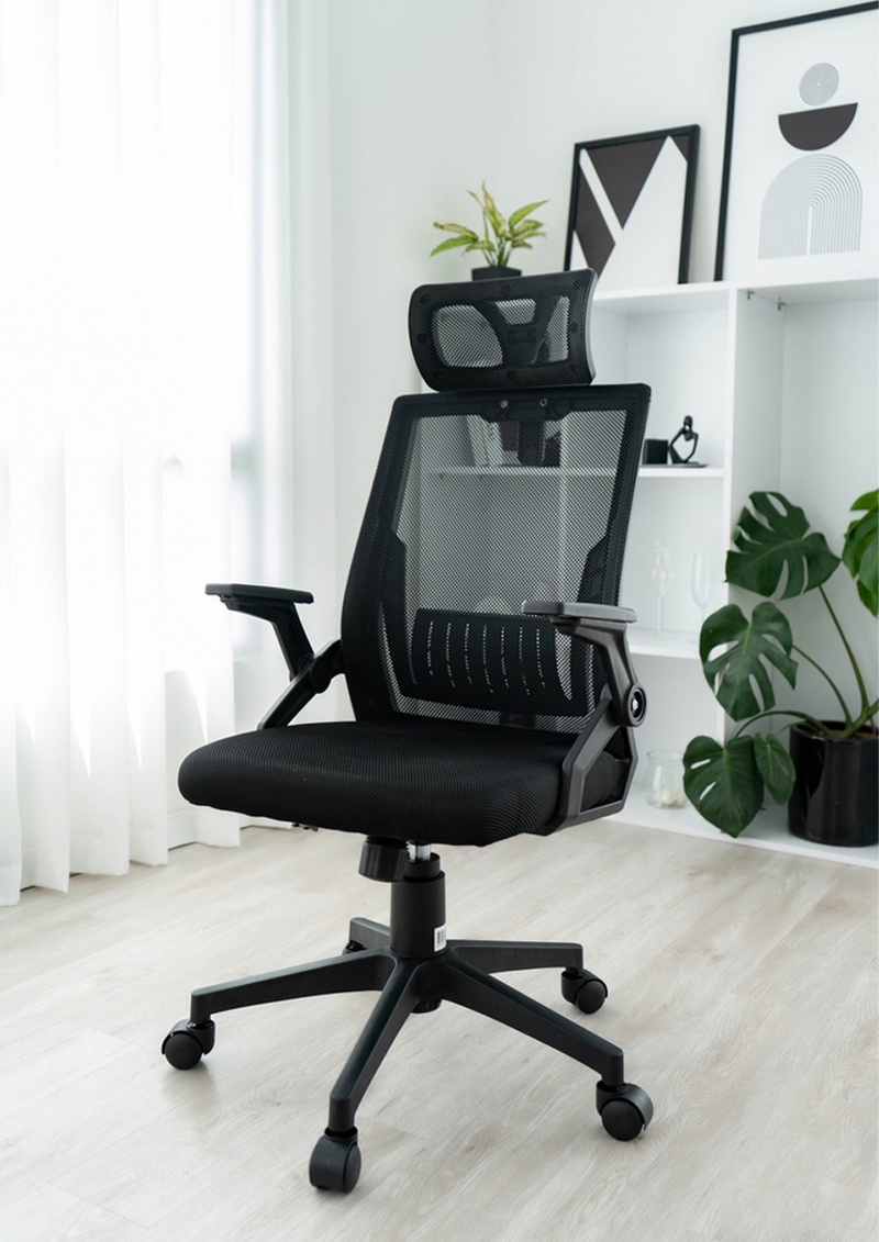 Ghế công thái học - E-Dra EEC218