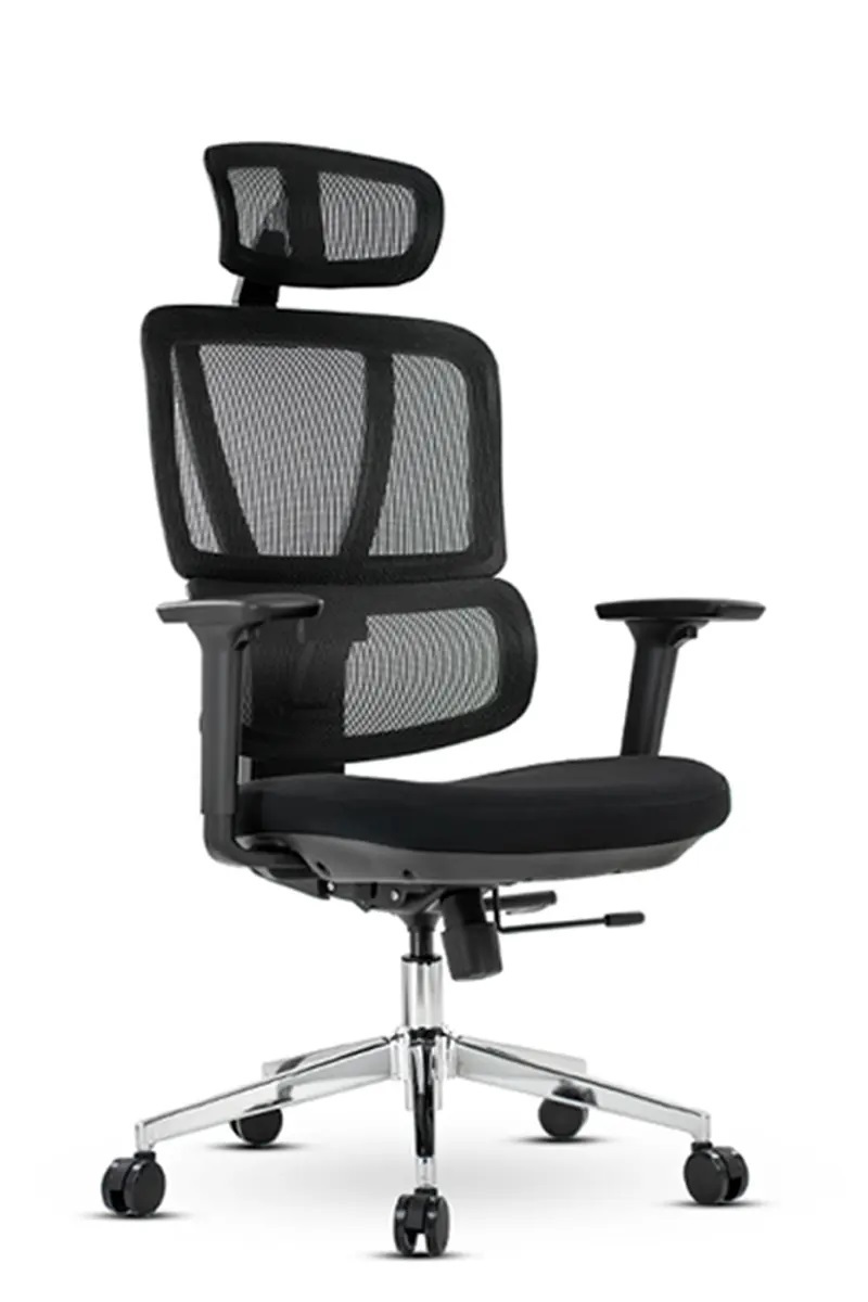 Ghe Cong Thai Hoc Lumbar A01