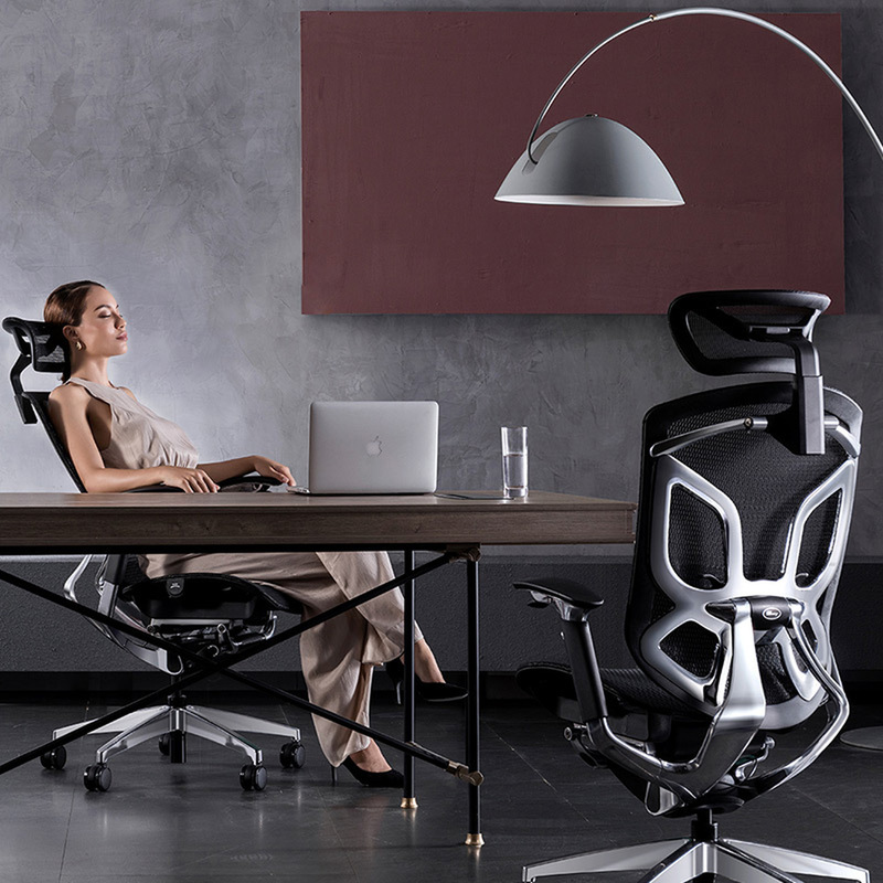 Ghe Cong Thai Hoc Dvary Ergonomic 23 1 (1)