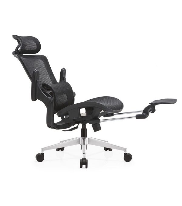 Ghế Công Thái Học Mirai V2