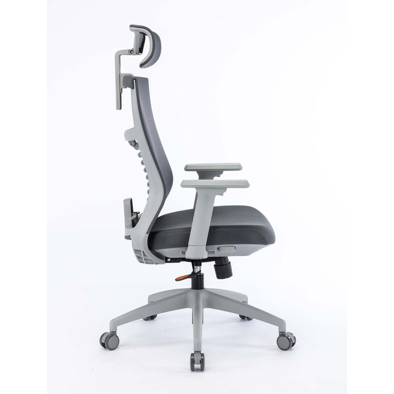 Ghế Công Thái Học Warrior Ergonomic Chair