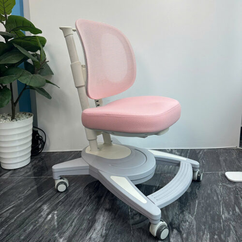 Ghế Chống Gù Lưng DRY-829 9 anh 1