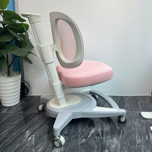 Ghế Chống Gù Lưng DRY-829 7 anh 3