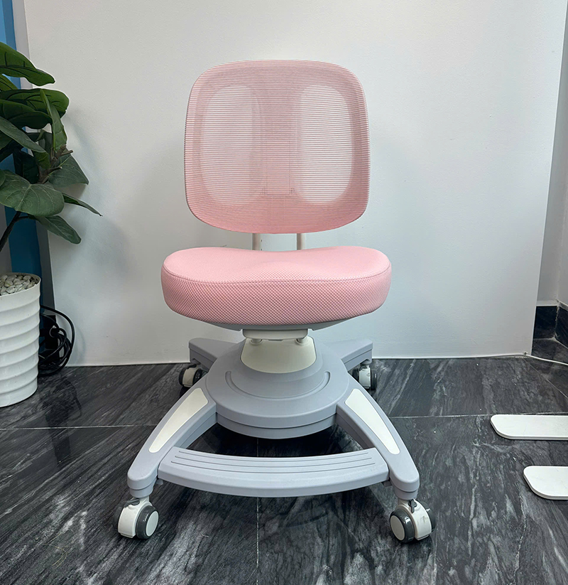 Ghế Chống Gù Lưng DRY-829 2 anh 4