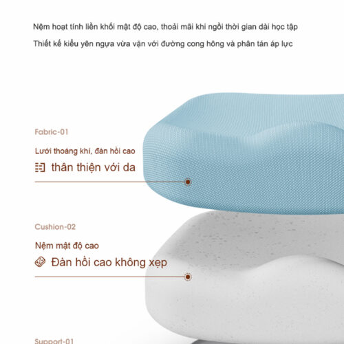 Ghế Chống Gù DRY-801-2 Công Thái Học, Bảo Vệ Cột Sống, Ngồi Đúng Tư Thế 8 anh16