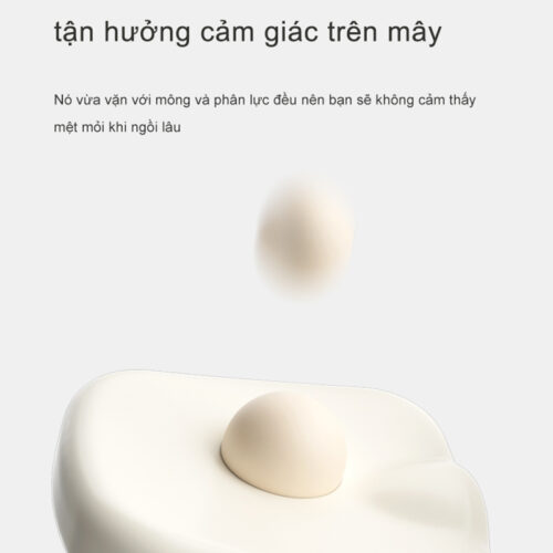 Ghế Chống Gù DRY-801-2 Công Thái Học, Bảo Vệ Cột Sống, Ngồi Đúng Tư Thế 7 anh17