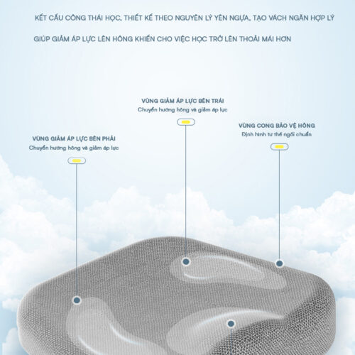 Ghế Chống Gù Lưng DRY-818 – Nâng Hạ Nút Bấm 12 Thiet Ke Dệm Lồi Lõm Bsuc