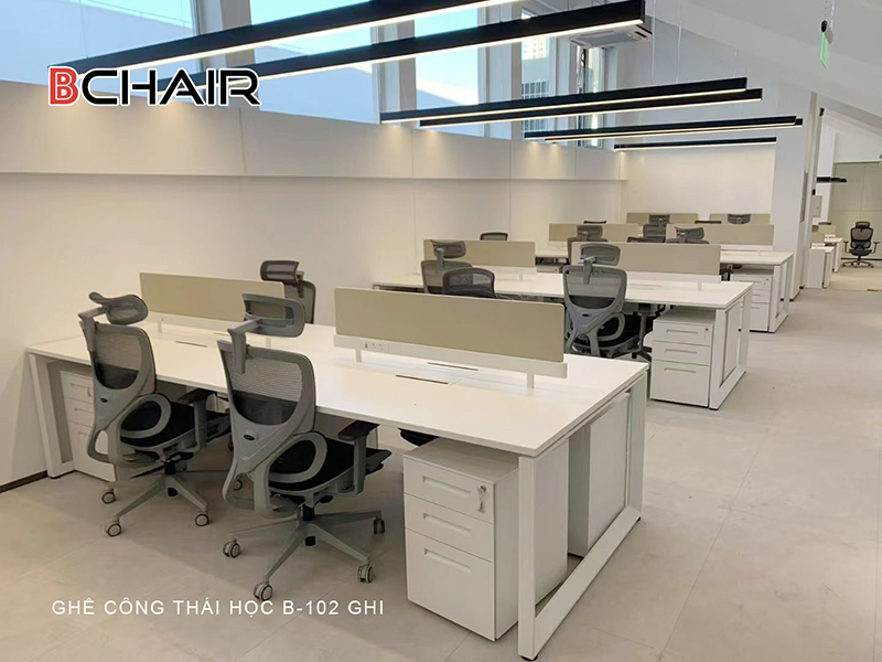 Dự án ghế công thái học B102 ghi đẹp