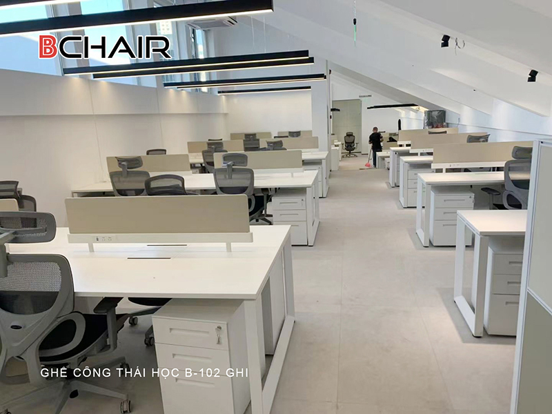 Dự án ghế công thái học B102 ghi ảnh 2