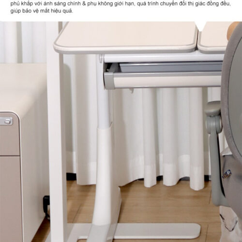 Đèn làm việc cao cấp ảnh 016