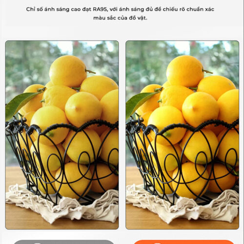 đèn Học Chống Cận HYD 029 Ảnh 05