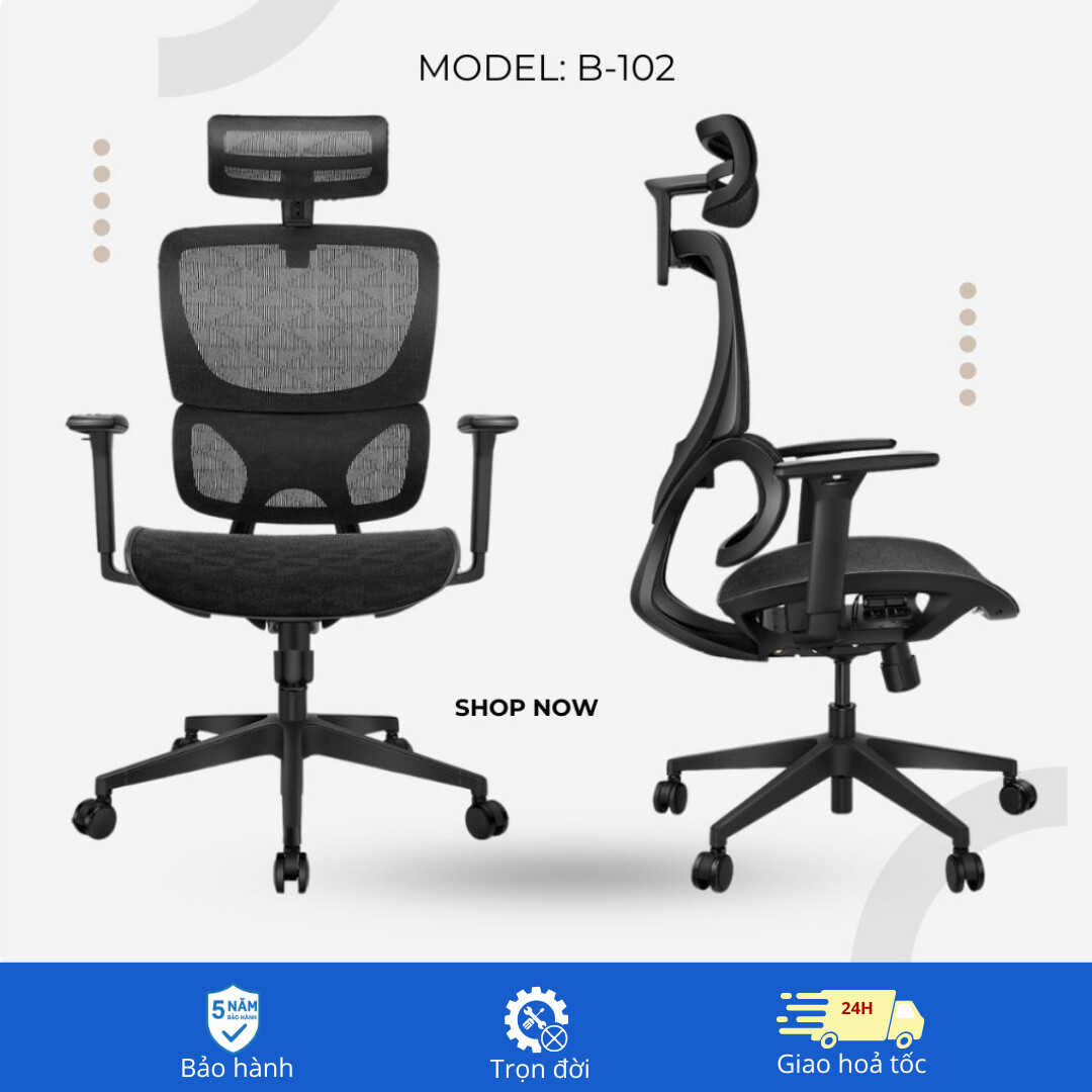 Ghế công thái học B-102