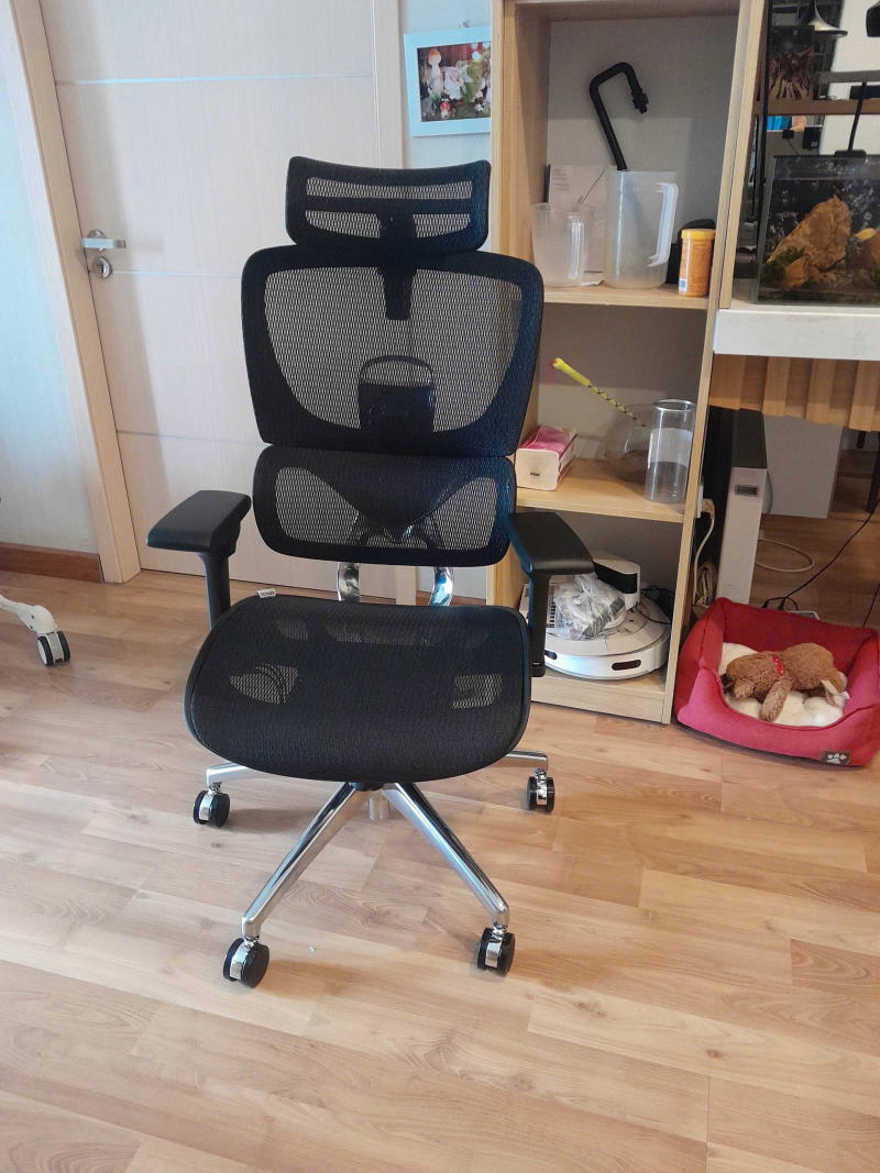 Ghế lưới văn phòng