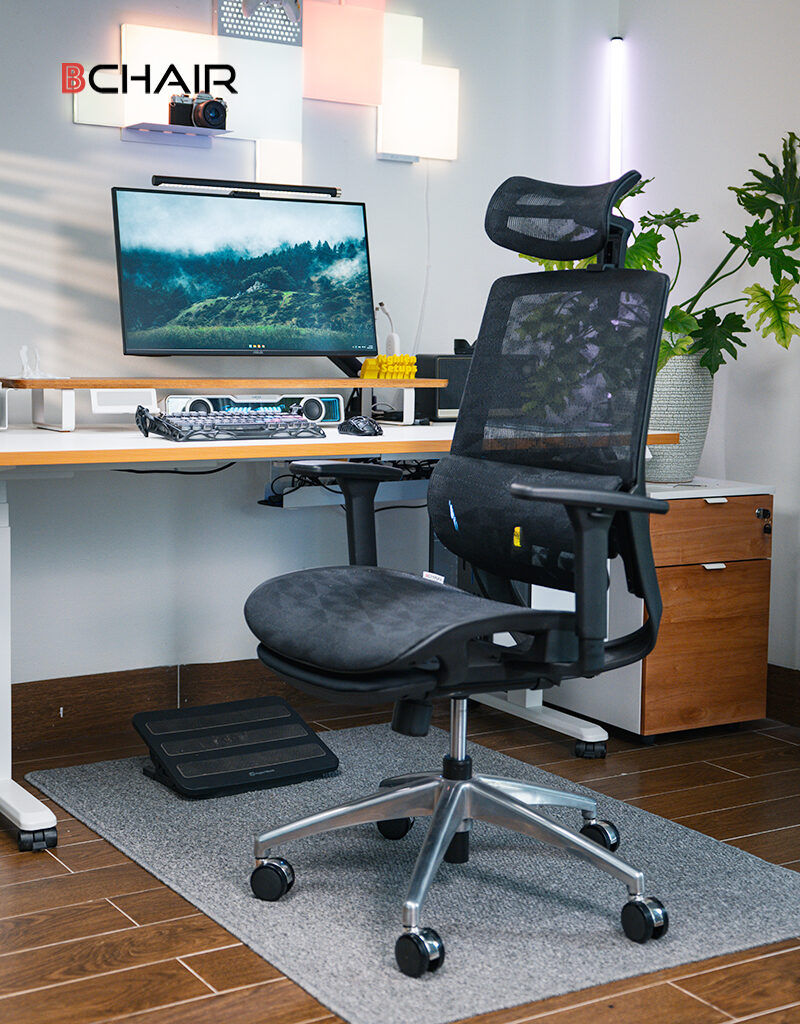 Ghế công thái học B-103F-16L ảnh 01