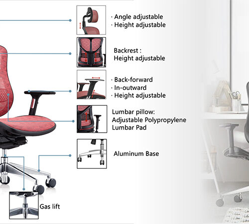Ghe van phong cong thai hoc BC 521V1