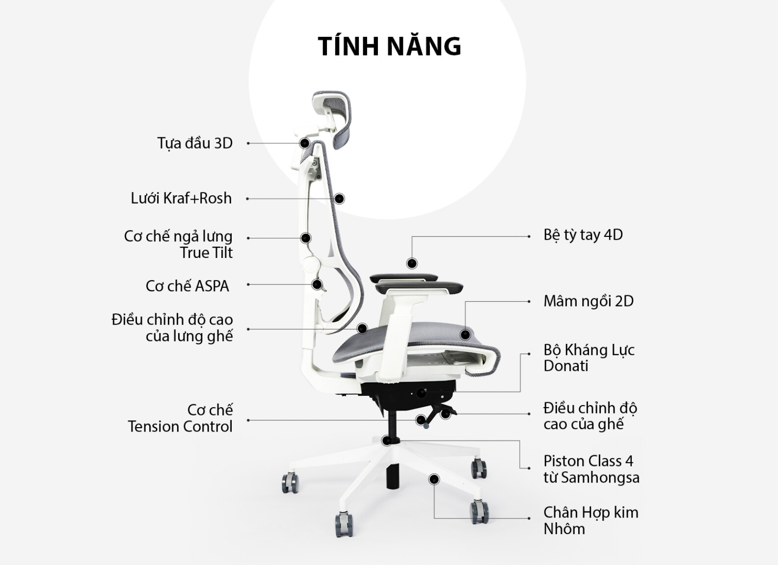 ghế công thái học